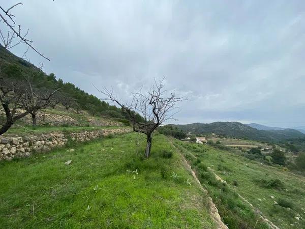 Terreno en Murtes, km 7