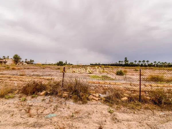 Terreno en carretera Elx - Santa Pola