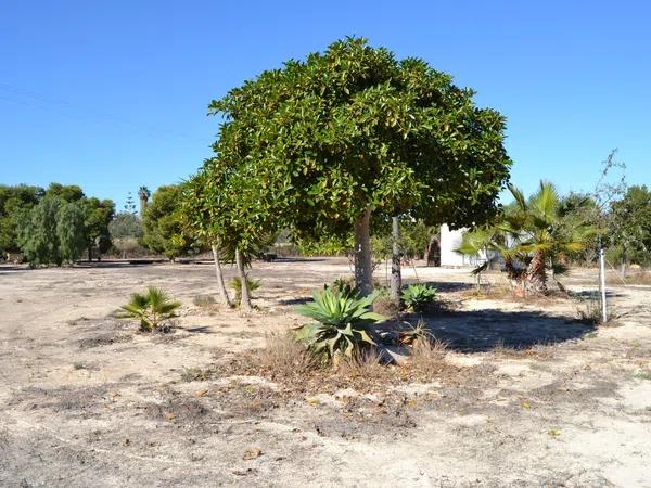 Terreno en Partida de Santa Ana s/n