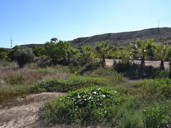 Terreno en Partida de Santa Ana s/n