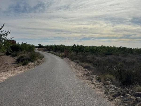 Terreno en Polígono 50 Parcela 41