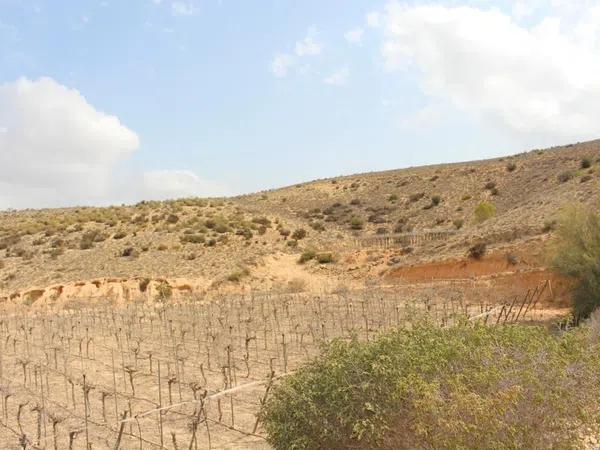 Terreno en calle Carlos Arniches