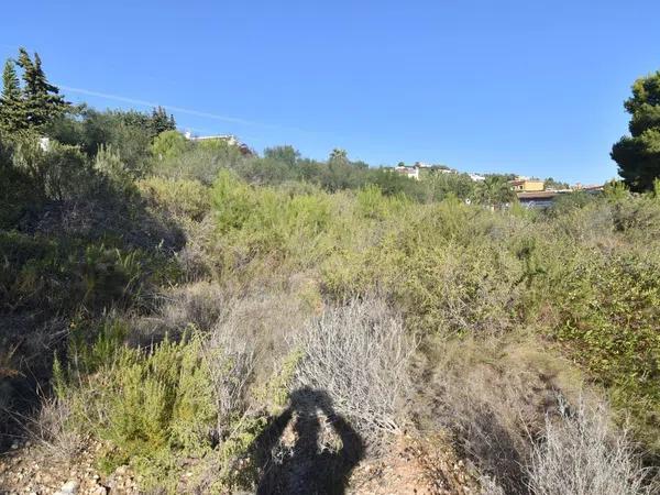 Terreno en Cometa-Carrió