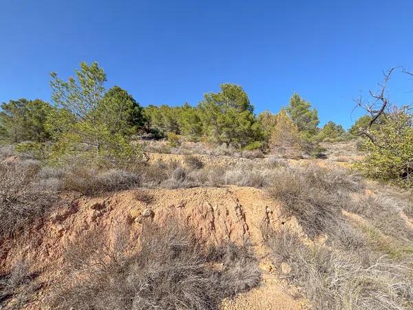 Terreno en Partida Sentenilla