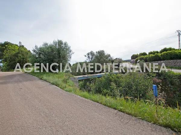 Terreno en Orba