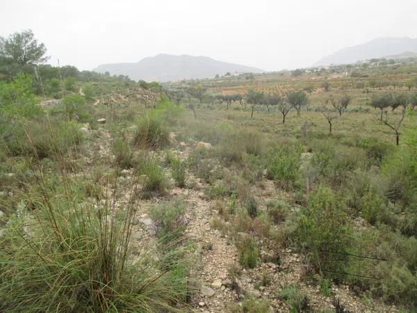 Terreno en Partida los Calores