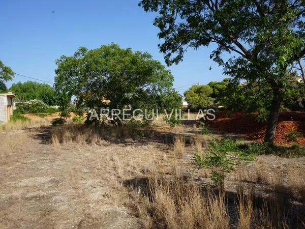 Terreno en La Pedrera-Vessanes