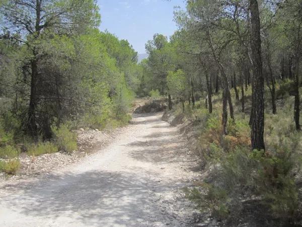 Terreno en via del Mediterráneo