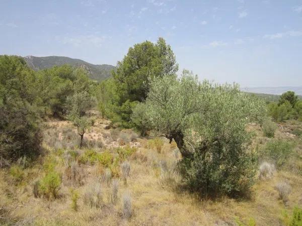 Terreno en via del Mediterráneo