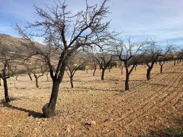 Terreno en Solana Alta