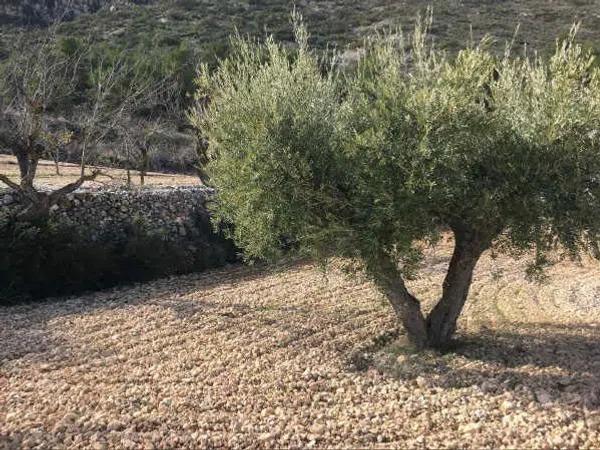 Terreno en Solana Alta