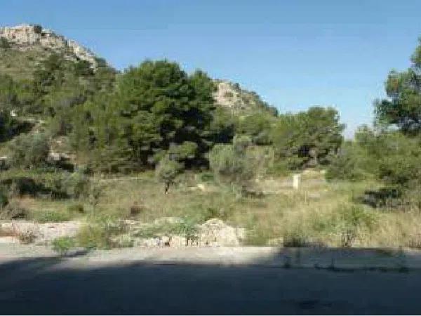 Terreno en calle las Chafarinas