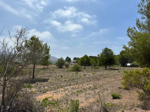 Terreno en Pinar de Advocat-Cometa