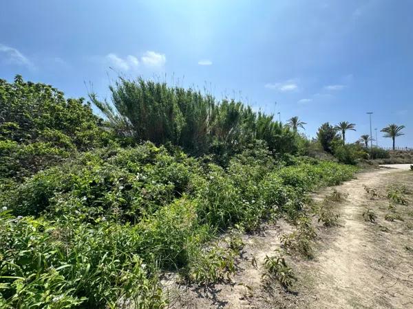 Terreno en Pinar de Advocat-Cometa