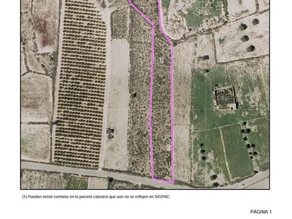 Terreno en vereda La Manzanilla (El Molar) s/n sn