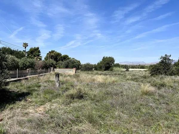 Terreno en calle de I'Esparraguera