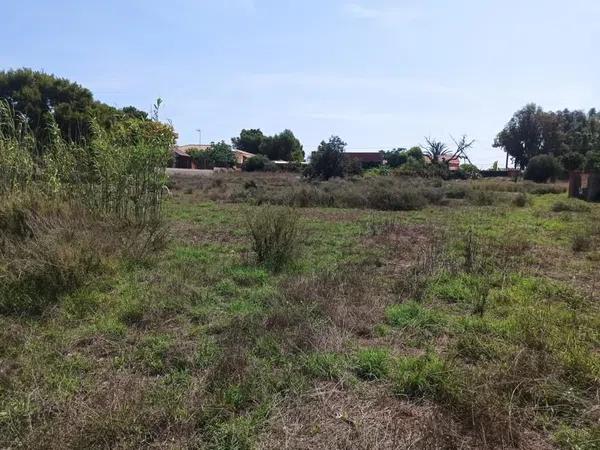 Terreno en calle de I'Esparraguera