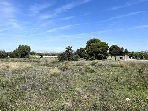 Terreno en calle de I'Esparraguera