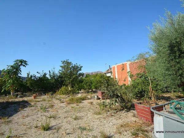 Terreno en Orihuela Ciudad