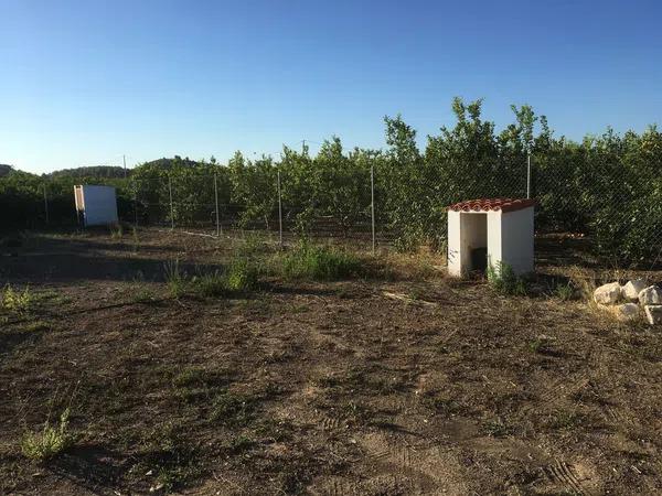 Terreno en camino Marjals Majors, 3 Polgono