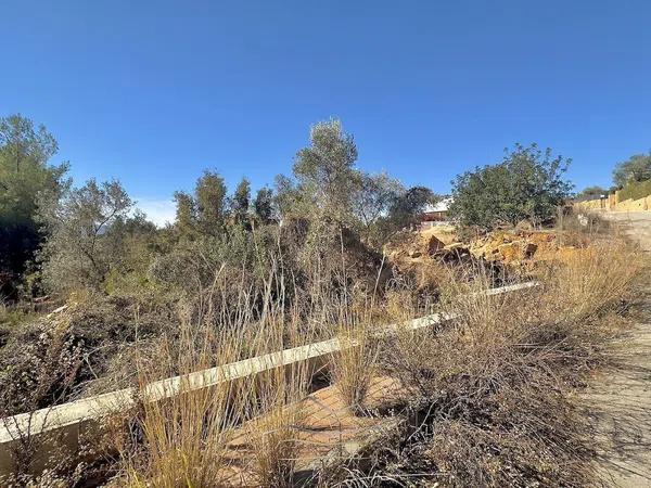 Terreno en Montgó - Ermita