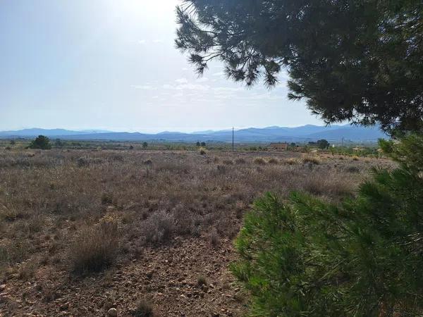 Terreno en Partida Casas de Ibañez, 19