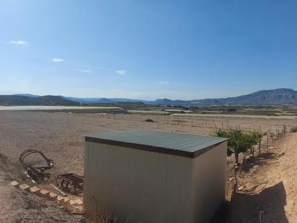 Terreno en Monforte del Cid