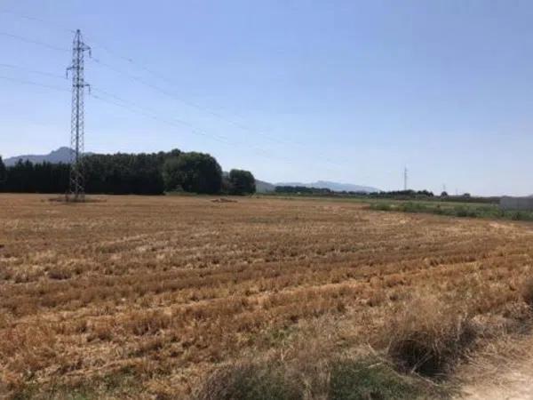 Terreno en Prolongación Elche