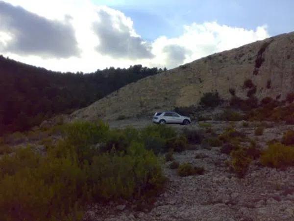 Terreno en carretera de Sax, km 4