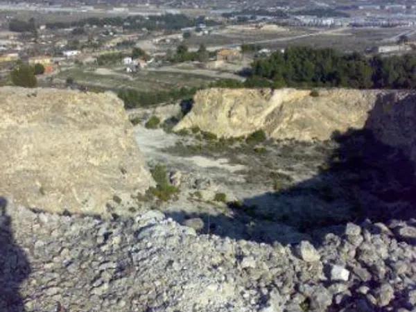 Terreno en carretera de Sax, km 4