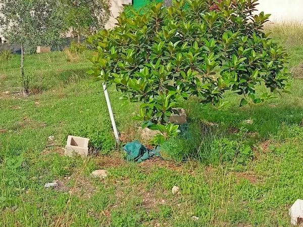 Terreno en calle de Tramuntana, 13