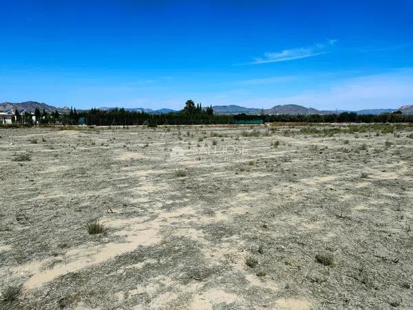 Terreno en Pedanías Este