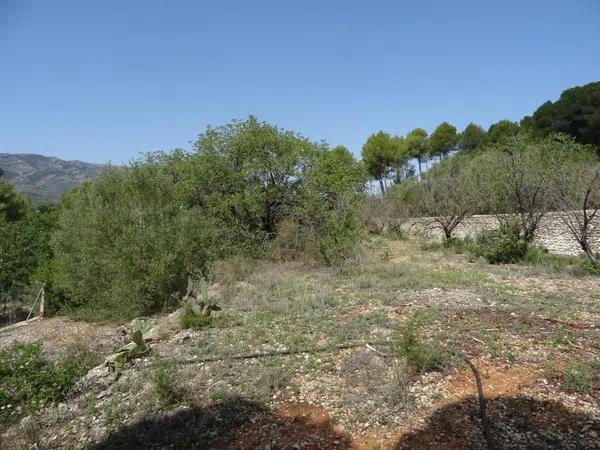 Terreno en Alcalalí