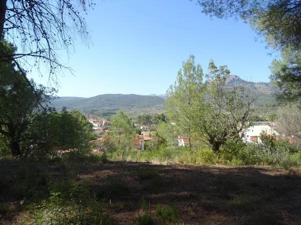 Terreno en Alcalalí