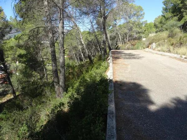 Terreno en Alcalalí