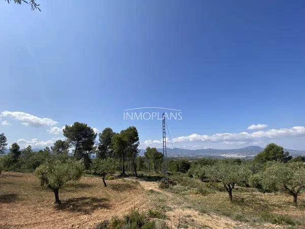 Terreno en avenida de Castalla, 32 -42