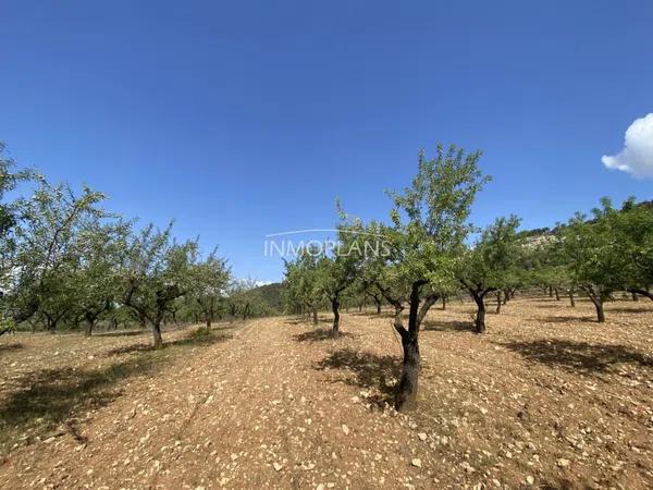 Terreno en avenida de Castalla, 32 -42