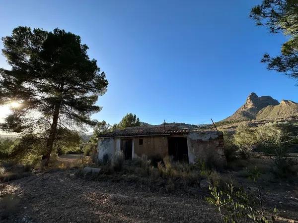 Terreno en Partida Cremats