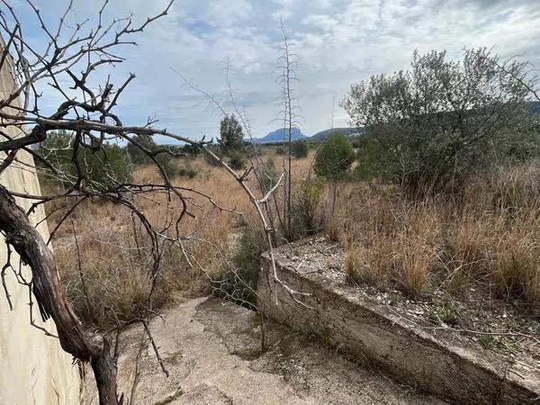 Terreno en Tormos