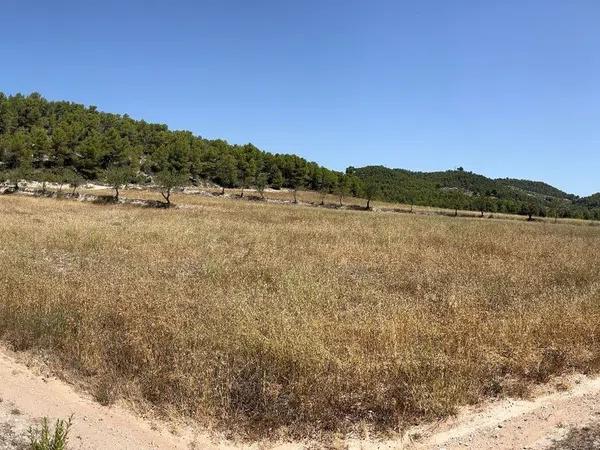 Terreno en Torremanzanas