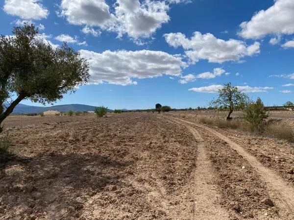 Terreno en Pinoso