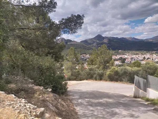 Terreno en Orba