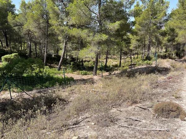 Terreno en Torremanzanas