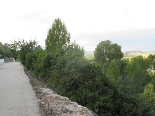 Terreno en calle Amapolas