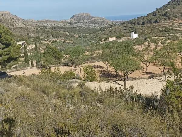 Terreno en Poligono 12, parcela 70, Partida Castillo s/n