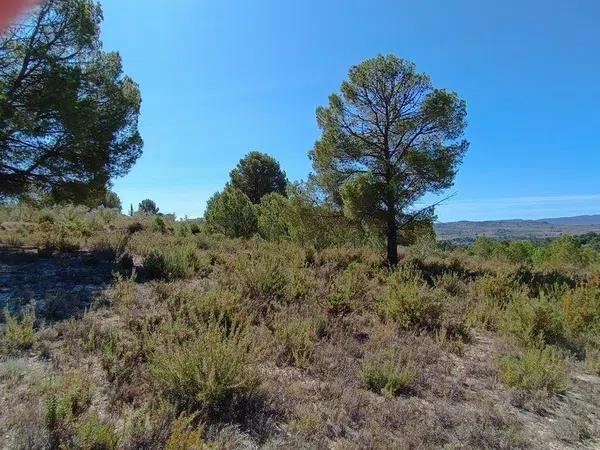 Terreno en Gayanes