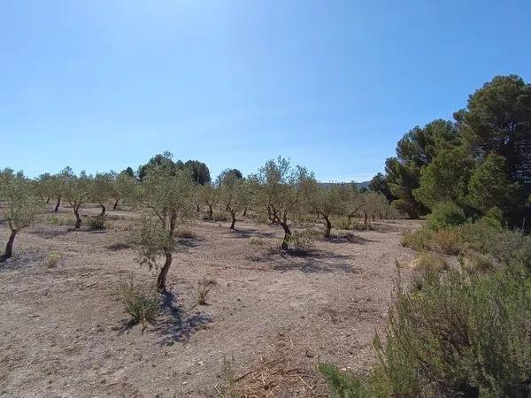 Terreno en Gayanes