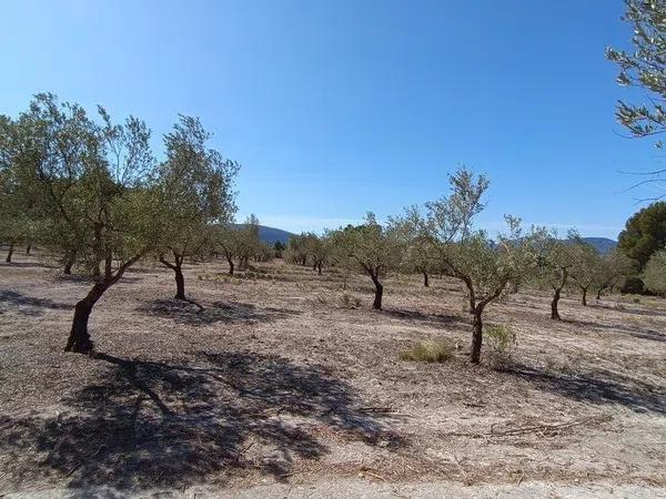 Terreno en Gayanes