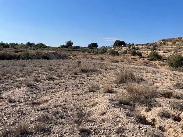 Terreno en Partida Serra la Vella, 29