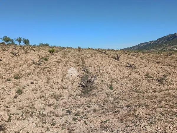 Terreno en La Romana